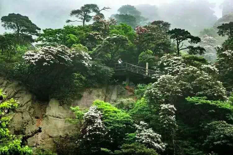 三清山 ——天下第一仙山