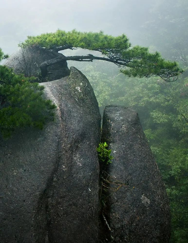 三清山 ——天下第一仙山