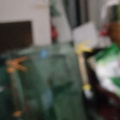 鿴ß