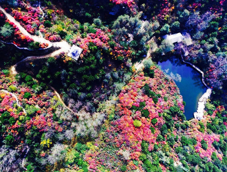 秋天第一場旅行，這才是10、11月最值得一去的地方，個個驚艷！