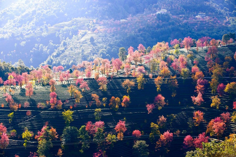 ȥȥhX@ٽ^ȥĶȕrg