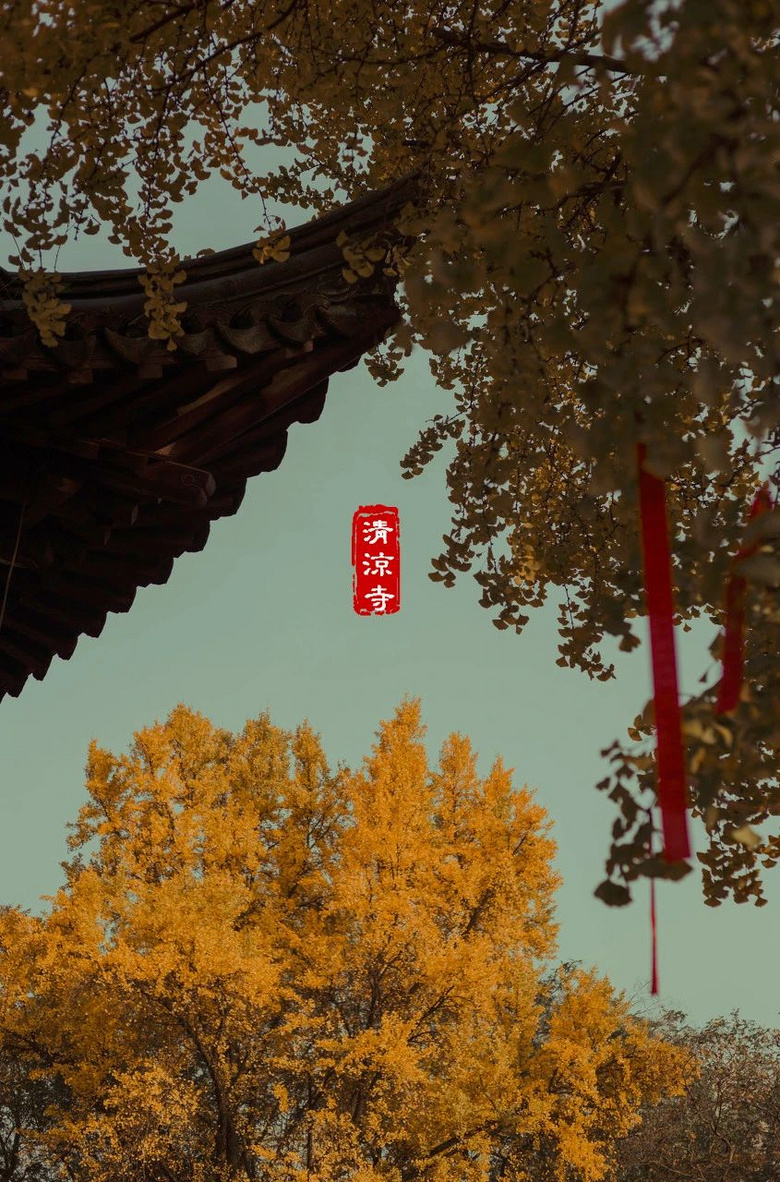 秋天第一場旅行，這才是10、11月最值得一去的地方，個個驚艷！