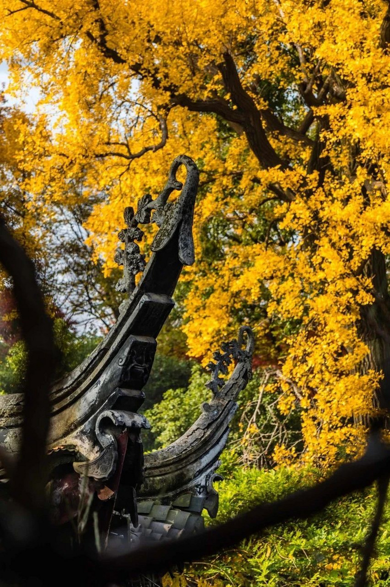 秋天第一場旅行，這才是10、11月最值得一去的地方，個個驚艷！
