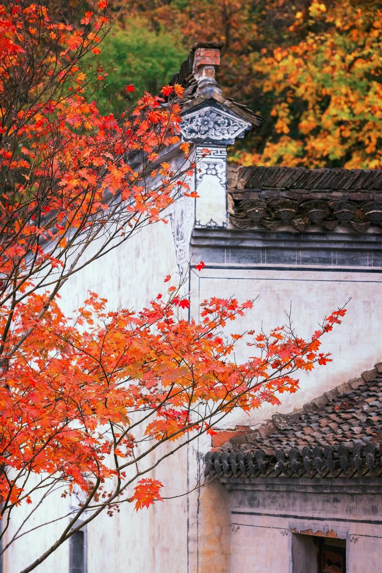 秋天第一場旅行，這才是10、11月最值得一去的地方，個個驚艷！