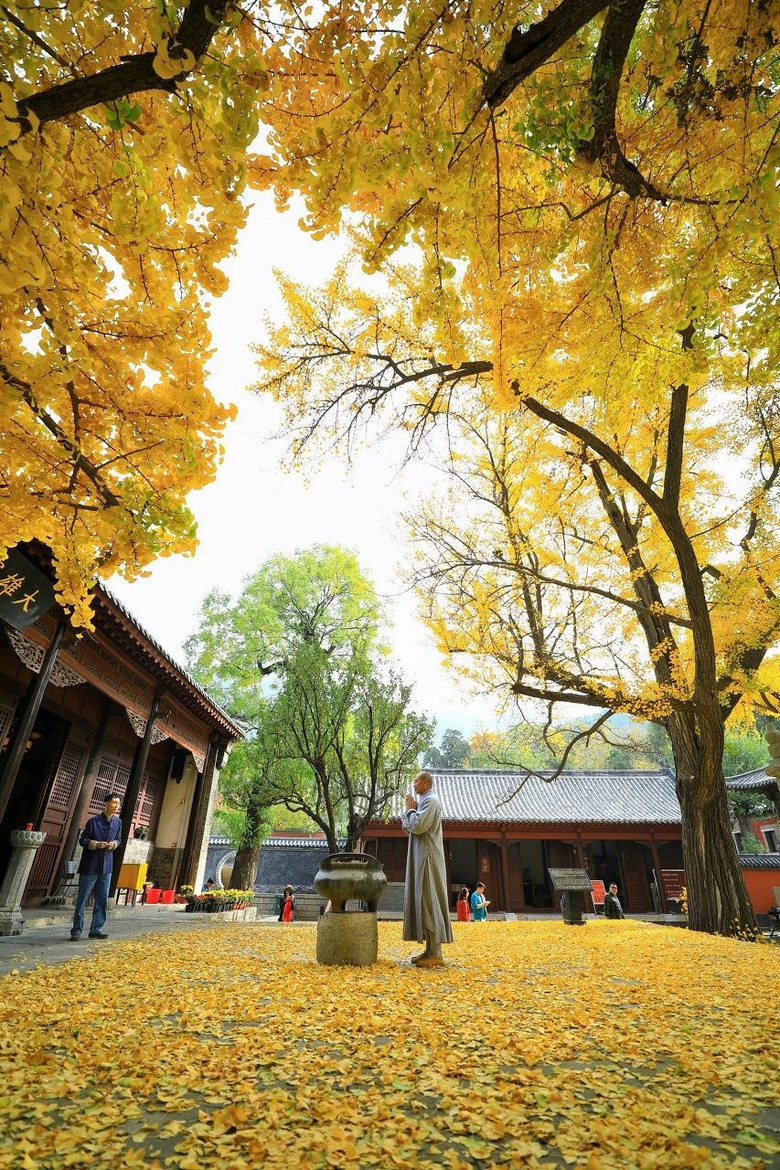 秋天第一場旅行，這才是10、11月最值得一去的地方，個個驚艷！