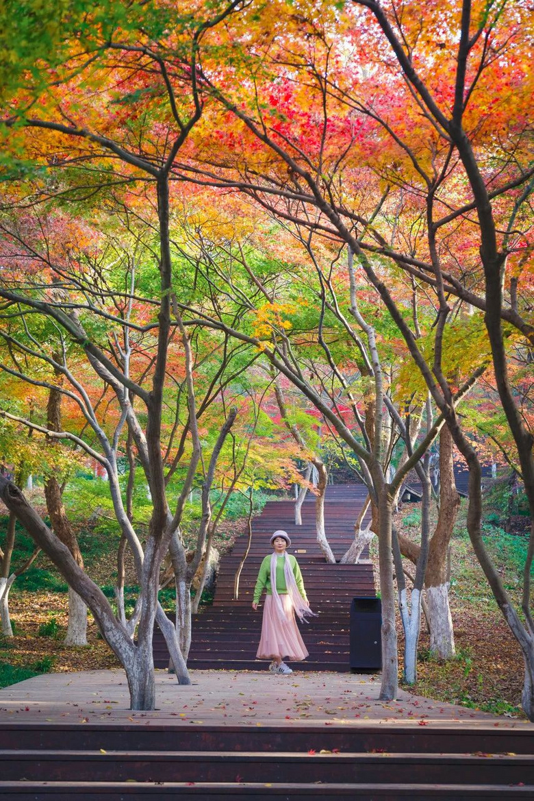 秋天第一場旅行，這才是10、11月最值得一去的地方，個個驚艷！