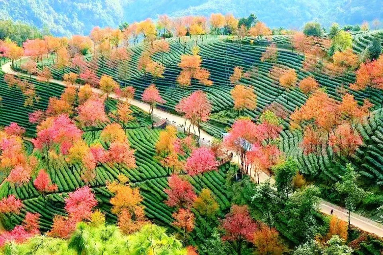 ȥȥhX@ٽ^ȥĶȕrg