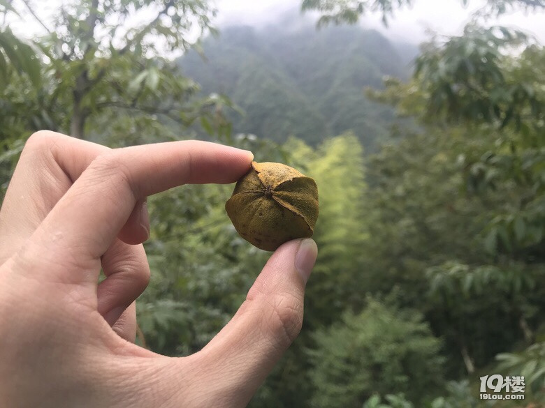 千島湖三日游