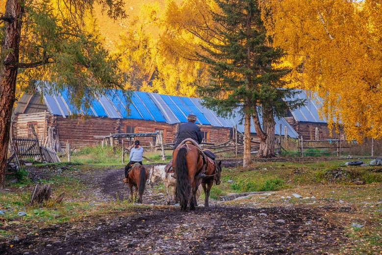 最適合一個人去的15個漫游地，累了就出去走一走