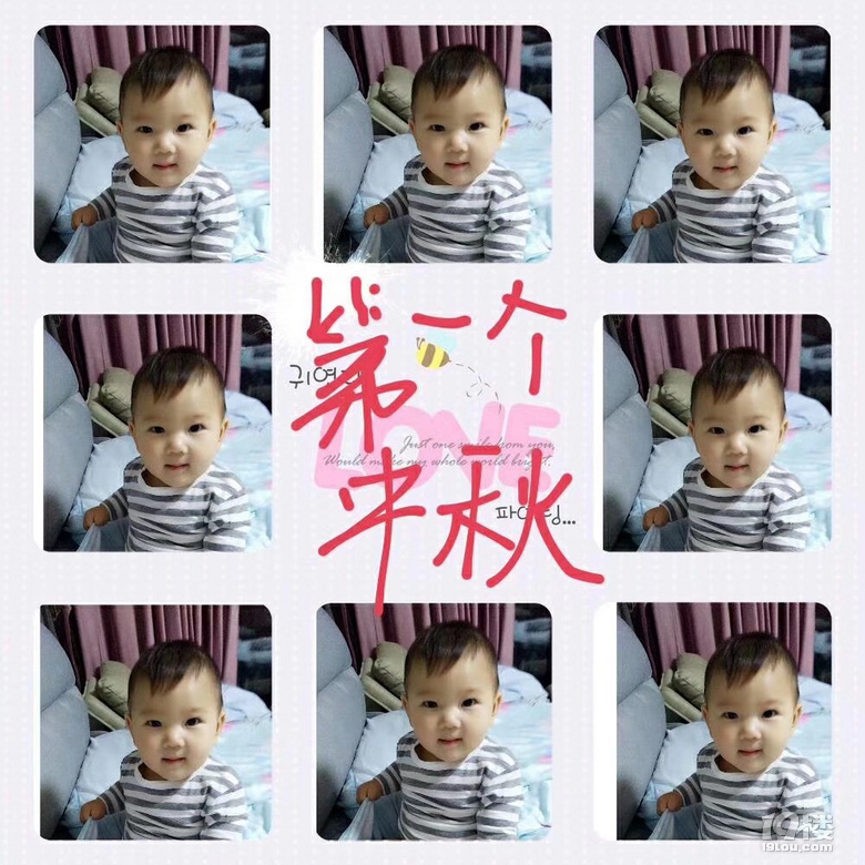 用文字和圖片回憶兒子上幼兒園前走過(guò)的風(fēng)景