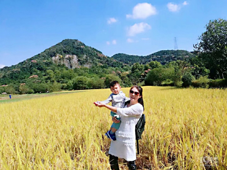 用文字和圖片回憶兒子上幼兒園前走過(guò)的風(fēng)景