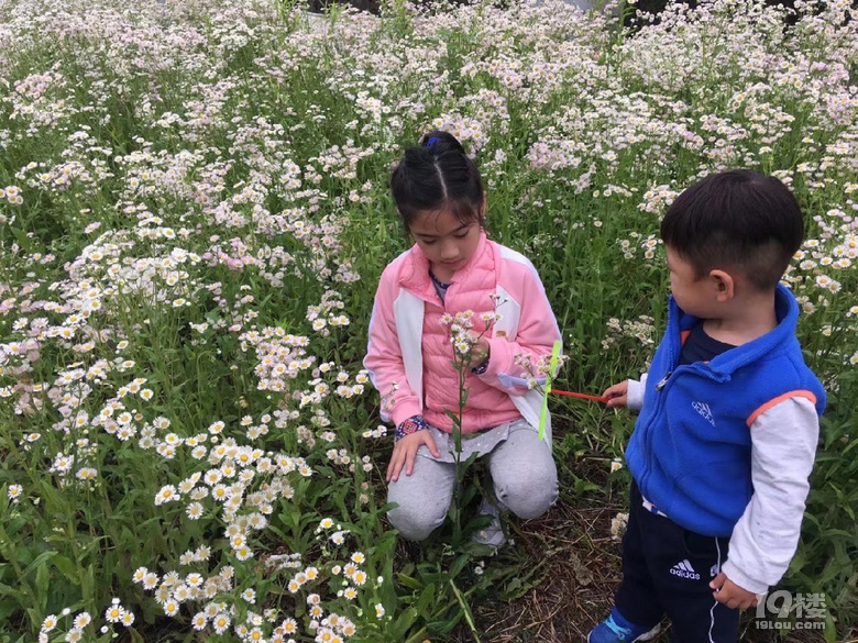 用文字和圖片回憶兒子上幼兒園前走過(guò)的風(fēng)景