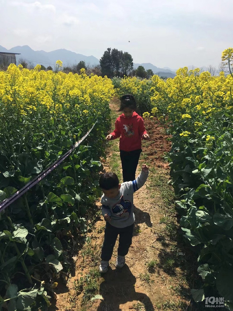 用文字和圖片回憶兒子上幼兒園前走過(guò)的風(fēng)景