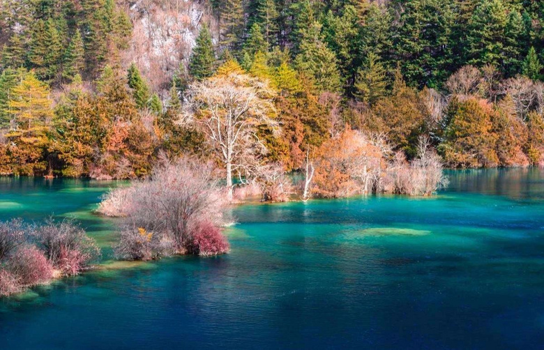 什么是中國的秋天？