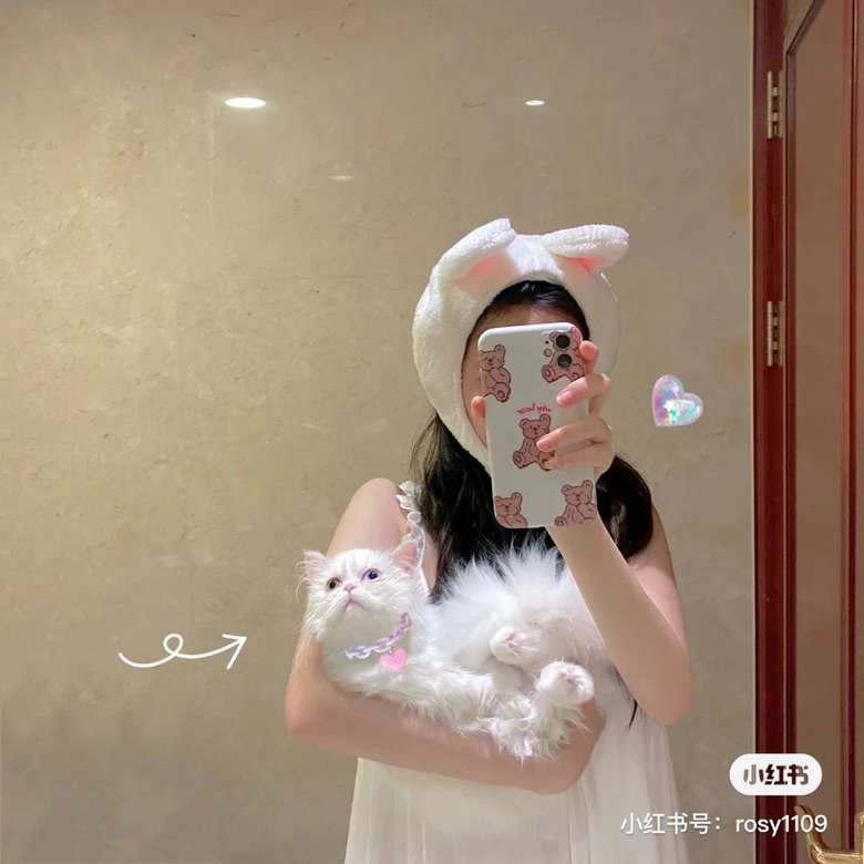 posew¶˼W(xu)գ