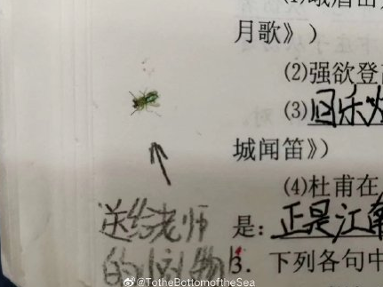 這些奇葩作業(yè)讓老師看笑了！網(wǎng)友：隔屏感受到了老師的無奈