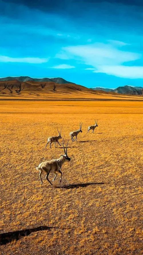 中國最美的25個旅行地，看到第一個，我就忍不住了