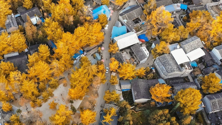 國內(nèi)唯一可同時看火山、泡溫泉的極邊小城！它才是云南秋色第一名