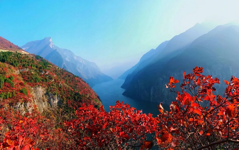 中國這處被人遺忘的火紅秋色，綿延數(shù)百里，美翻天！真的藏不住了
