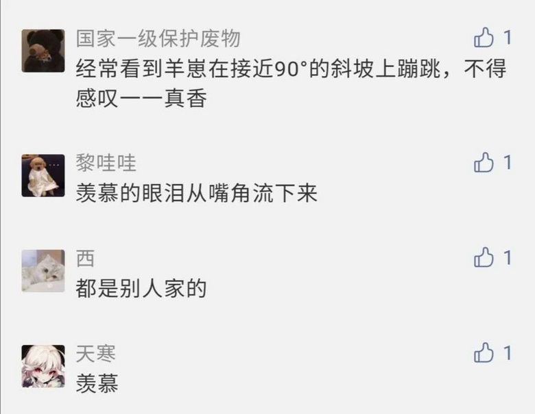 高校養(yǎng)羊請(qǐng)學(xué)生免費(fèi)吃！網(wǎng)友：羨慕的眼淚從嘴角流下……