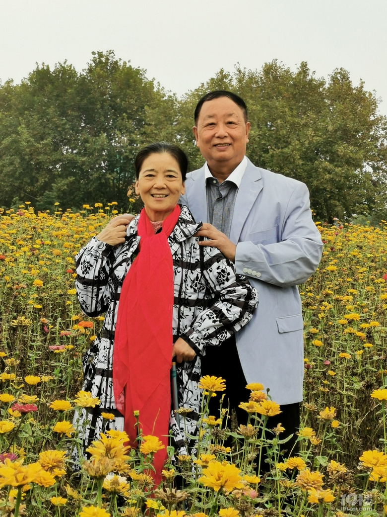 打卡康橋花海