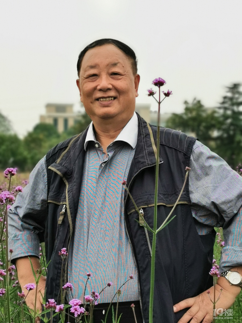 打卡康橋花海