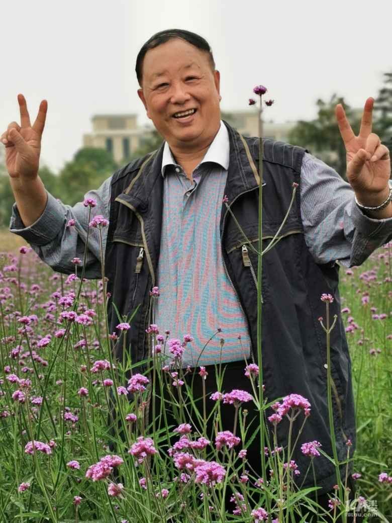 打卡康橋花海