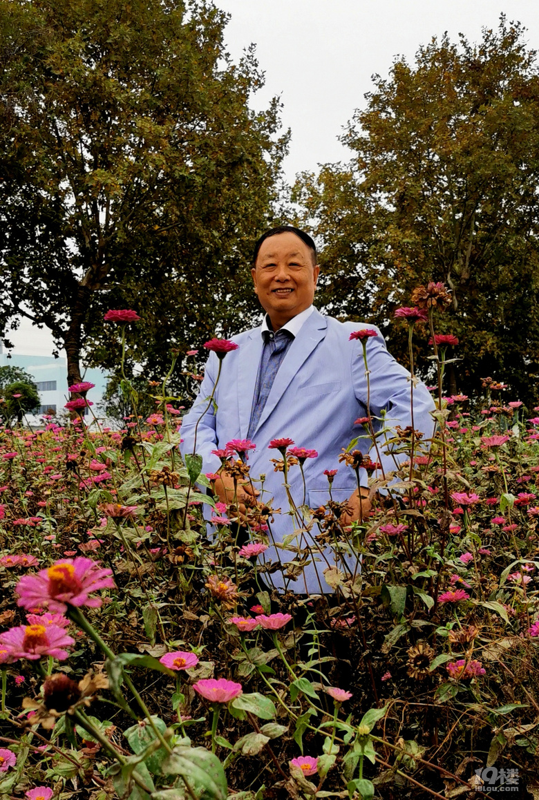 打卡康橋花海