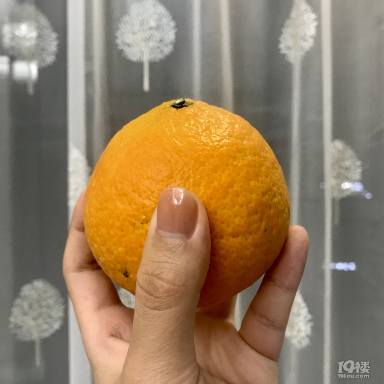 һ·Lԇ^III