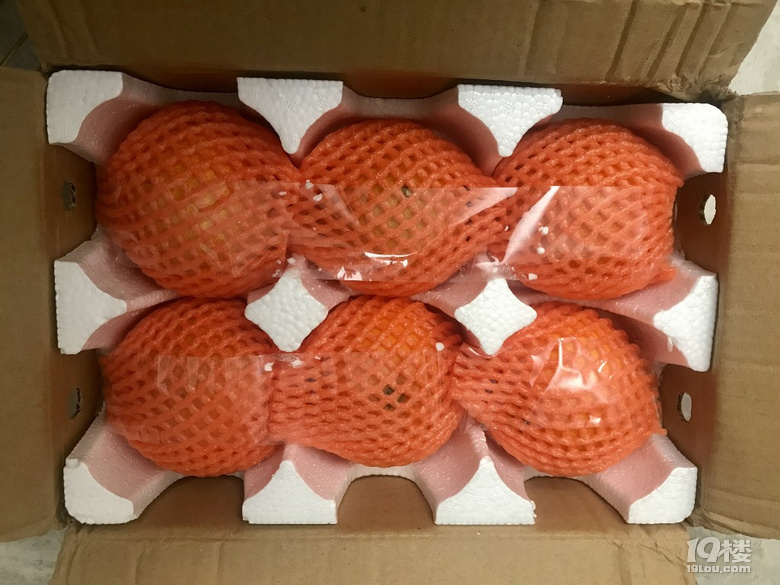 һ·Lԇ^III