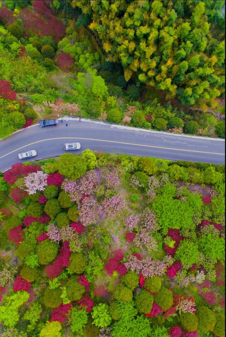 私藏浙江最美盘山公路,秋景美如江南喀纳斯