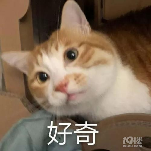 ͵͵ƴ˂ǼƵ裬u