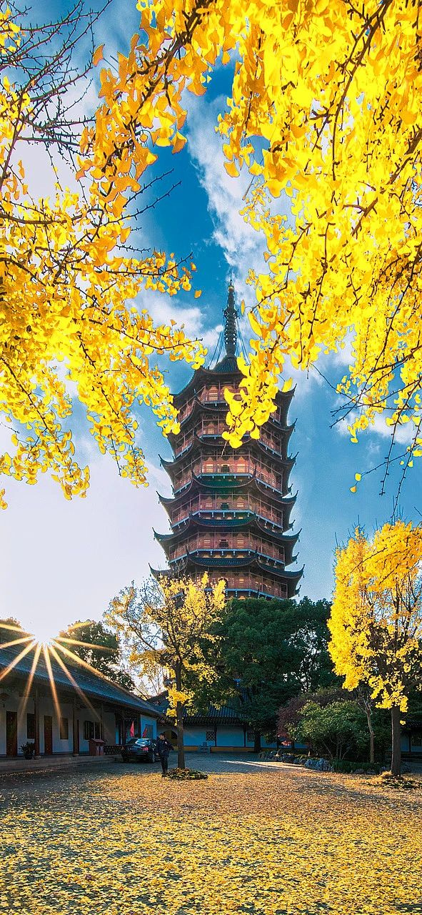 整个朋友圈都在等的苏州秋色,到底有多美?