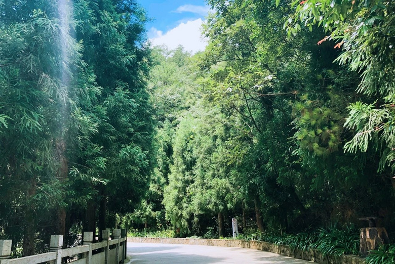 治愈系裂谷，看完我又可了！
