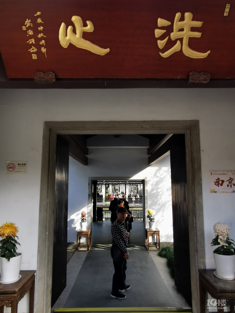 西湖秋韻----打卡長三角精品菊花展