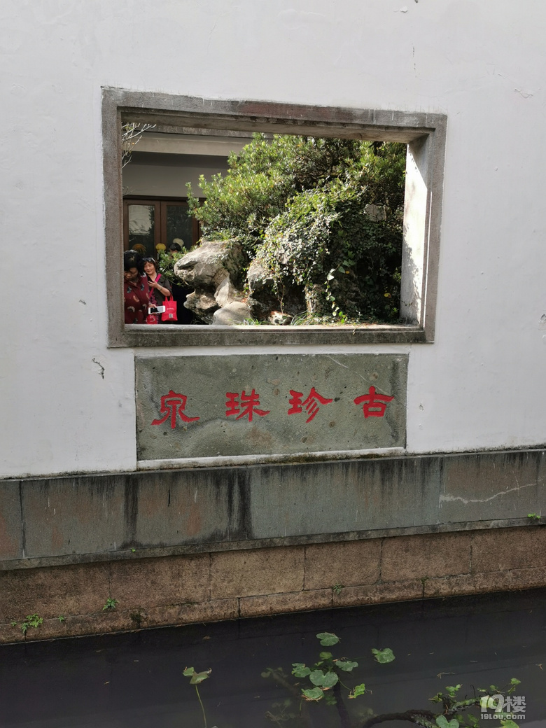 西湖秋韻----打卡長三角精品菊花展