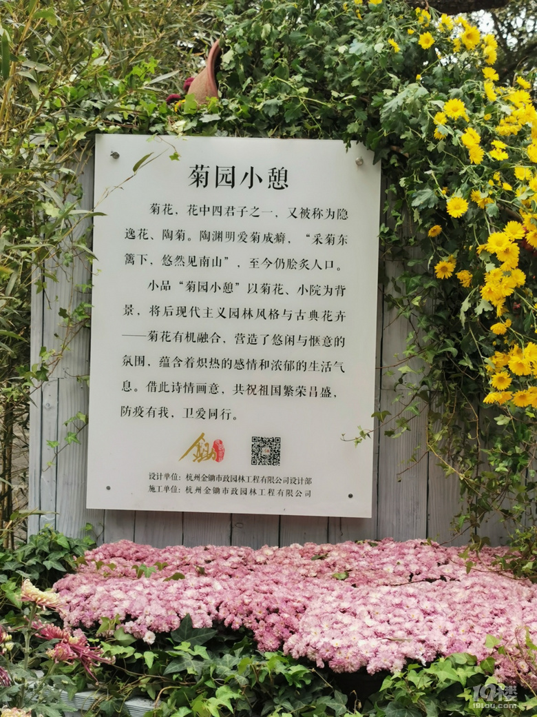 西湖秋韻----打卡長三角精品菊花展