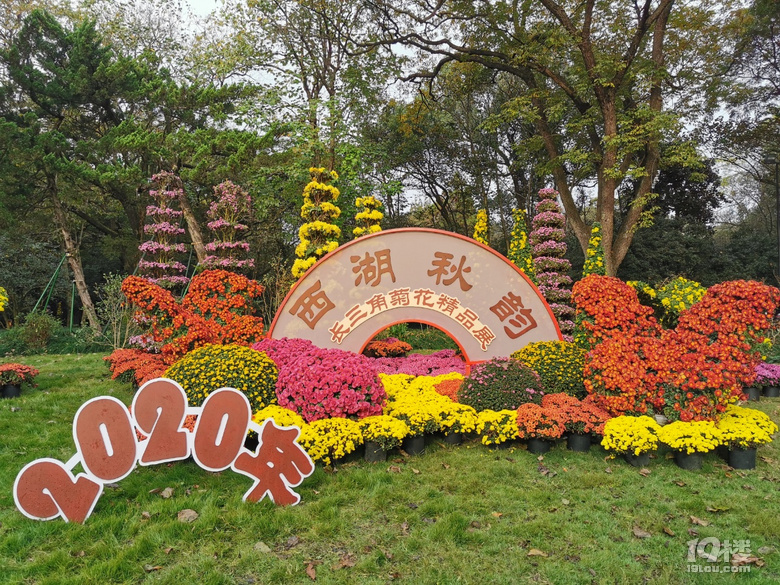 西湖秋韻----打卡長三角精品菊花展