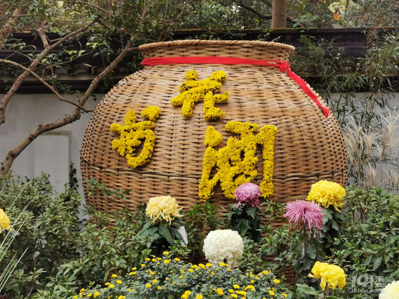 西湖秋韻----打卡長三角精品菊花展