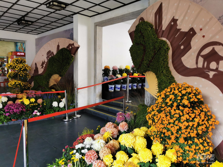 西湖秋韻----打卡長三角精品菊花展