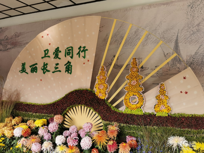 西湖秋韻----打卡長三角精品菊花展