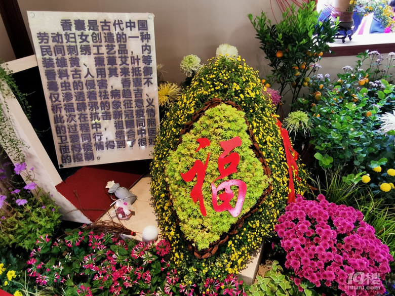 西湖秋韻----打卡長三角精品菊花展