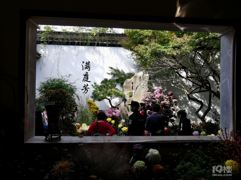 西湖秋韻----打卡長三角精品菊花展