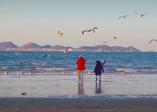 即將開通的8條高鐵，美的意外，一般人不知道