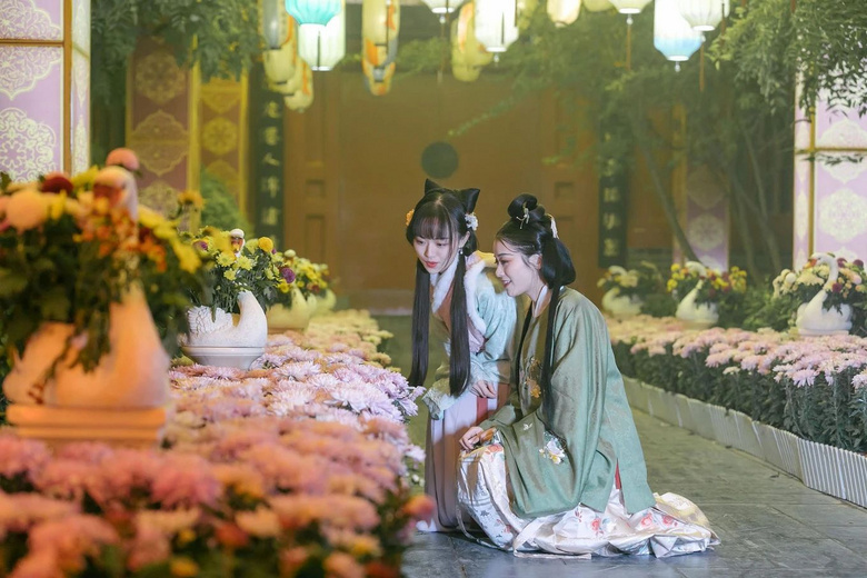 48小時(shí)夢回宋朝，看百場競演，賞名菊斗艷...是誰，搶了我家