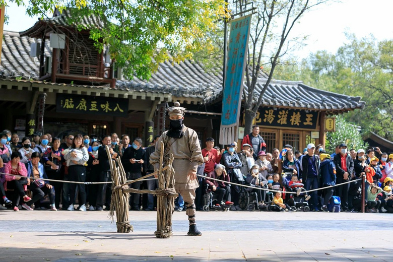 48小時(shí)夢回宋朝，看百場競演，賞名菊斗艷...是誰，搶了我家