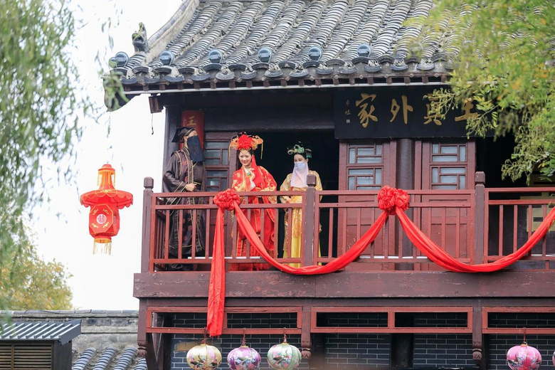 48小時(shí)夢回宋朝，看百場競演，賞名菊斗艷...是誰，搶了我家