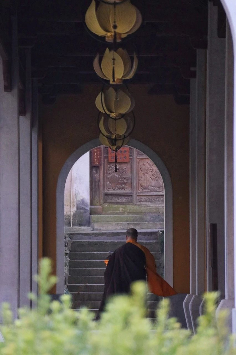 中國最美季節(jié)進(jìn)行時：南北方的秋天，哪個更美？