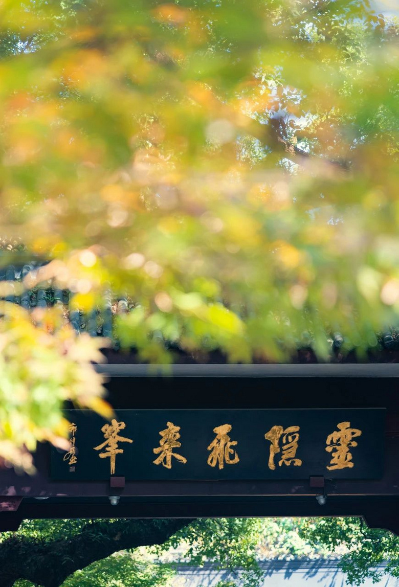 中國最美季節(jié)進(jìn)行時：南北方的秋天，哪個更美？
