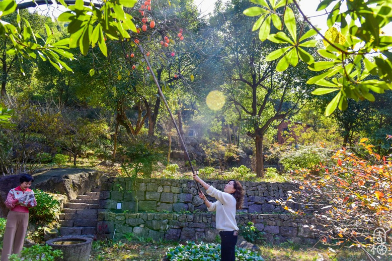 爆改荒山與村屋！占地20000畝的石頭莊園，讓你住進(jìn)大自然！
